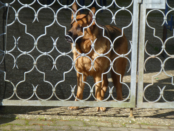 2013_Pfingstwanderung_Buechenbronn_0050