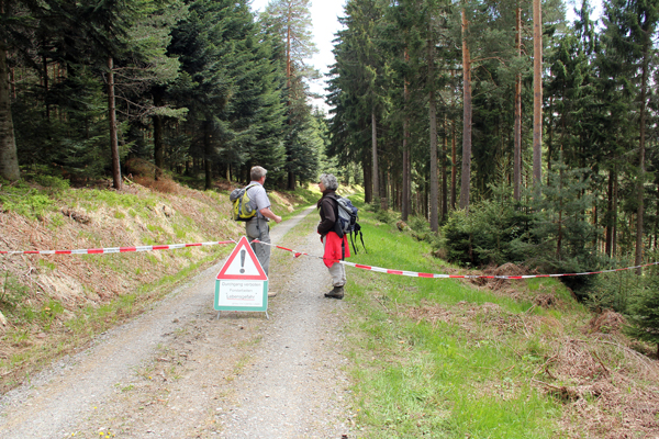 2013_Pfingstwanderung_Buechenbronn_0588