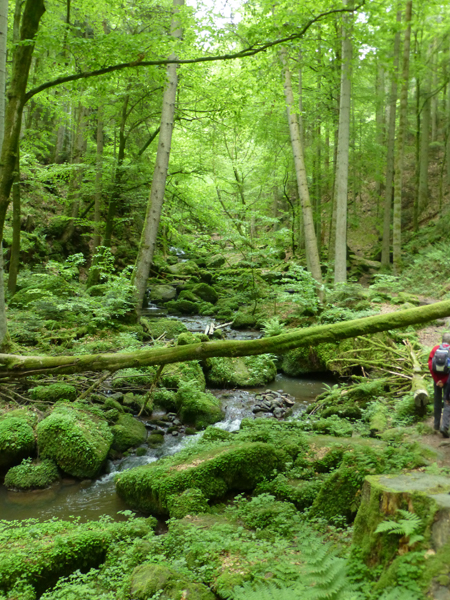 2013_Pfingstwanderung_Buechenbronn_1220