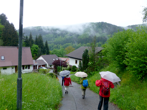 2013_Pfingstwanderung_Buechenbronn_1390