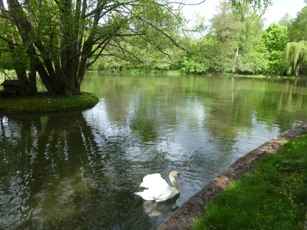 2013_Pfingstwanderung_Buechenbronn_1490