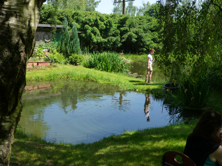 2014_Pfingstwanderung_Losheim_Felsenweg_0530