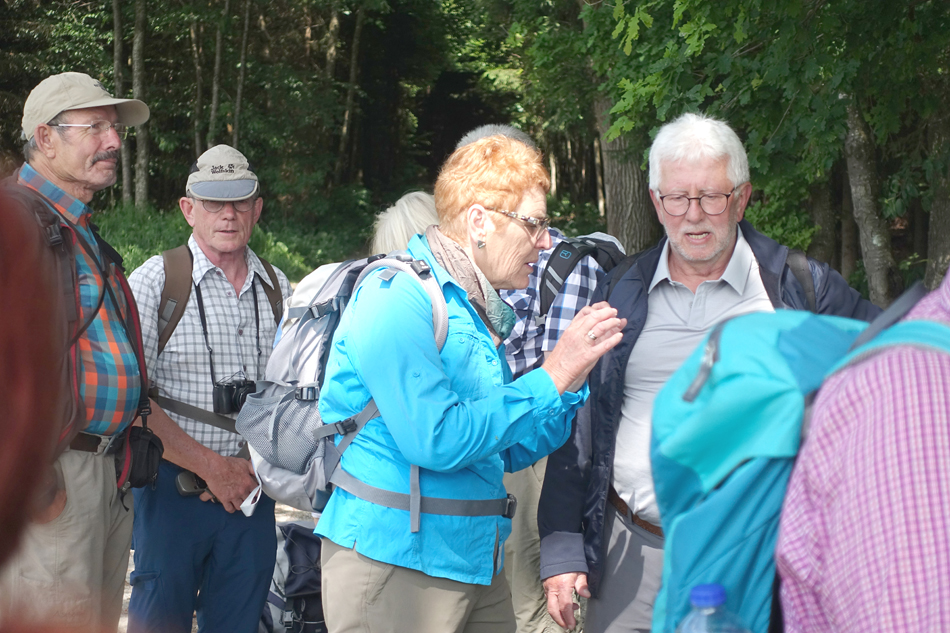 2019_Pfingstwanderung_Saulgau_0080