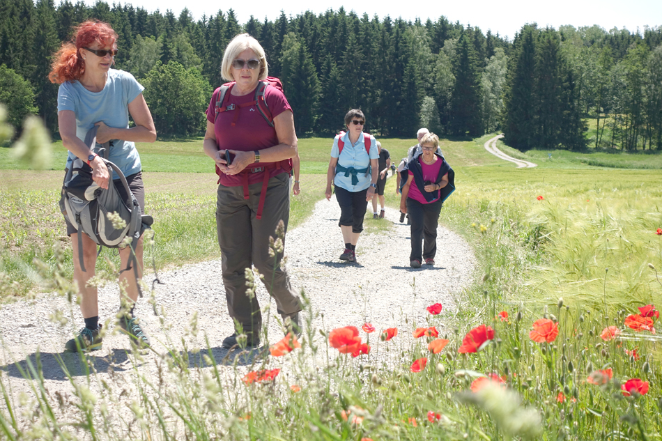 2019_Pfingstwanderung_Saulgau_0290