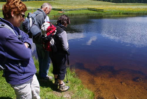 2009_Pfingstwanderung_Jungholz_Sorgschrofen_1360