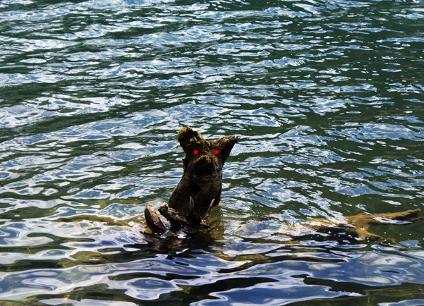 2.2009_Pfingstwanderung_Jungholz_Vilsalpsee_0340-augen