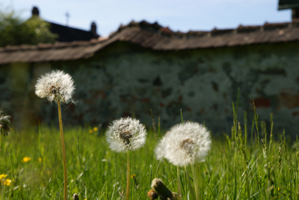 2010_Pfingstwanderung_Benediktbeuren_2730