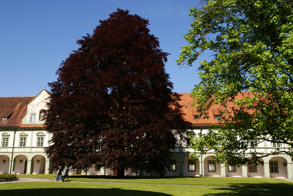 2010_Pfingstwanderung_Benediktbeuren_2940